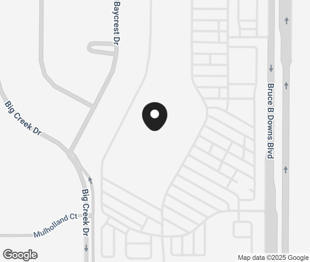 Google Map of 1201 County Rd 581, Wesley Chapel FL 33544-9261