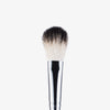 A23 Brush