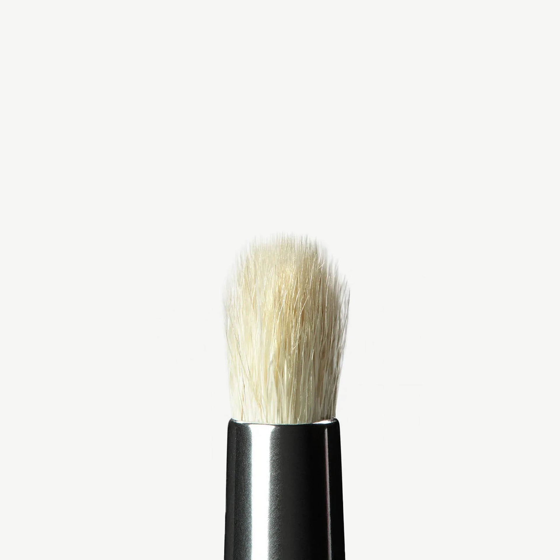A14 Brush