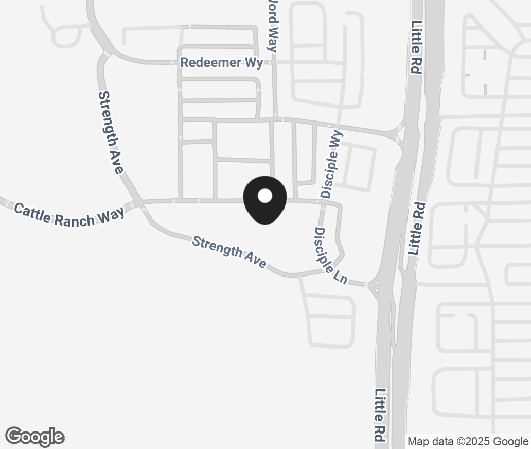 Google Map of 8976 Strength Avenue, Trinity FL 34655